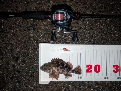 新舞子マリンパーク