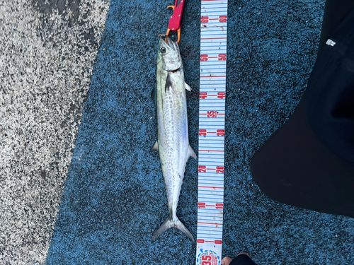 周防大島（屋代島）