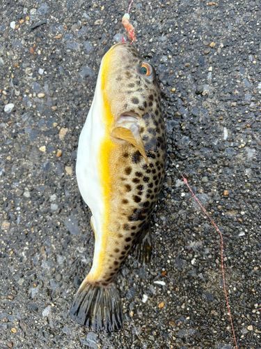 千葉港中央埠頭