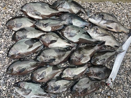 東京湾（アクアライン〜富津）