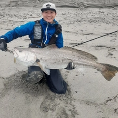 オオニベの釣果