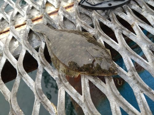 本牧海づり施設