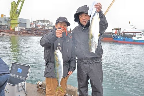 ハマチの釣果