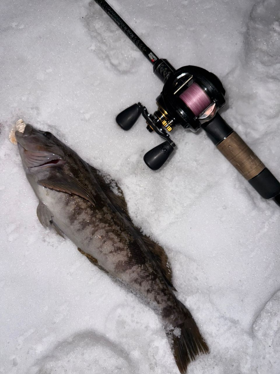 AbuGarcia ロックスイーパー・マイクロガイドシステム NRC-702M BF MGS