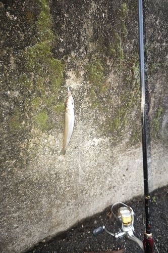 クレセントビーチ周辺