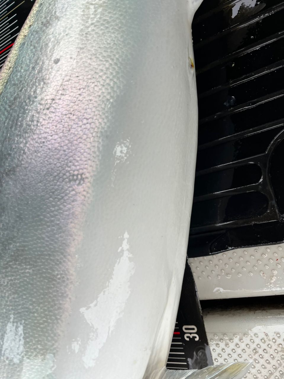 遊漁船 足立丸さんの釣果 3枚目の画像