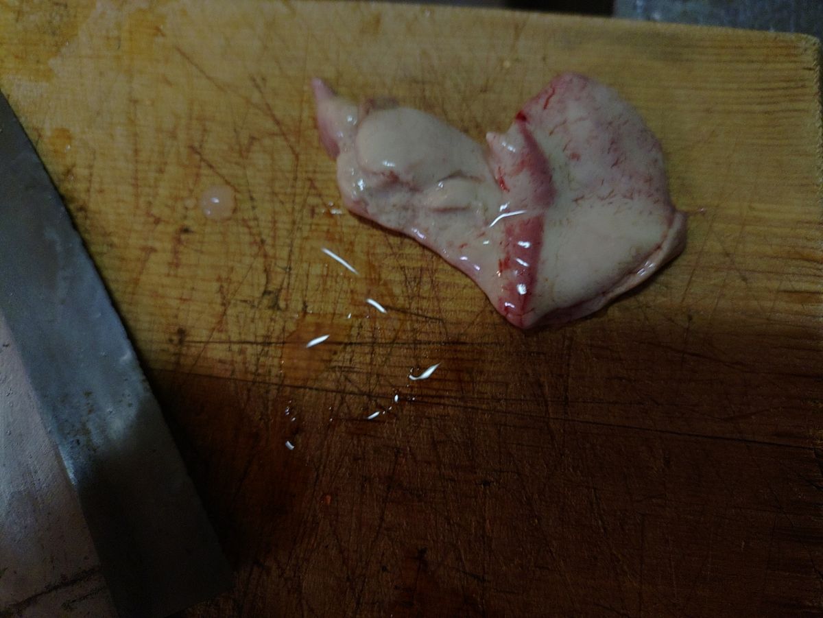 Devilrayさんの釣果 2枚目の画像