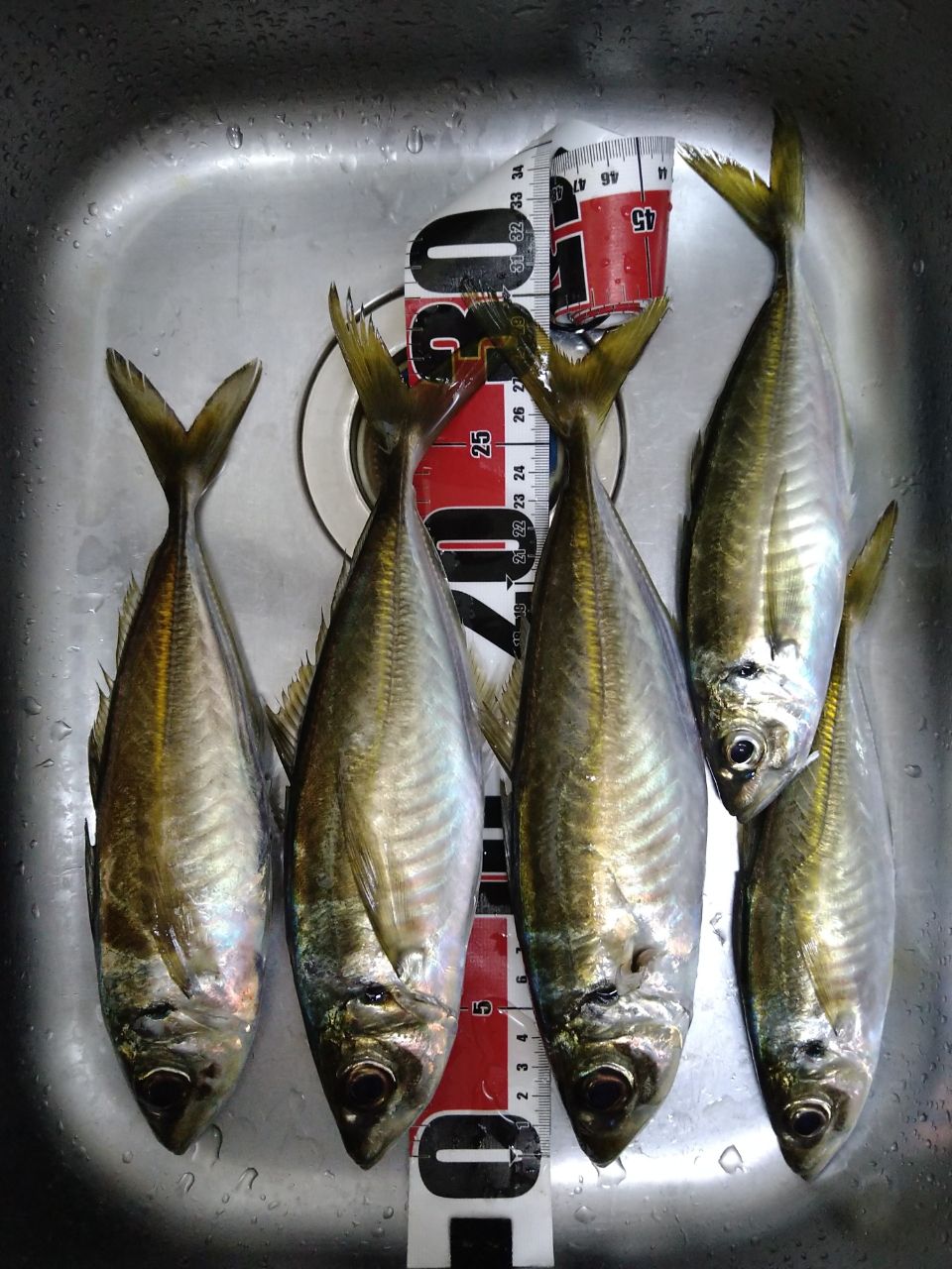 SHIMANO 22ソアレ SS S86ML-Tの最安値・インプレ・釣果 | 本音の口コミ