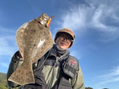 ヒラメの釣果