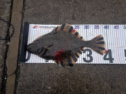 小樽港厩町岸壁