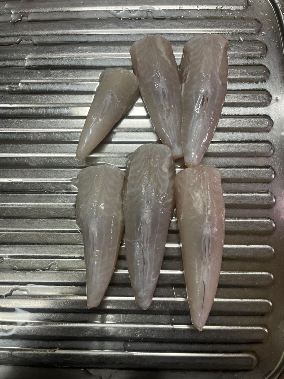 Guest40677787さんの釣果 1枚目の画像