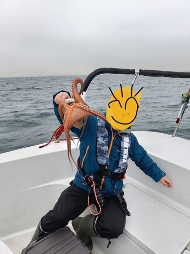 タコの釣果