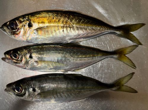 小名浜港アクアマリンふくしま周辺