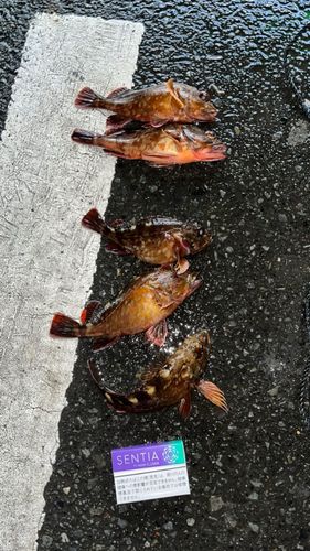 金沢水際線緑地（福浦岸壁）