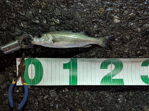 東京湾（アクアライン〜富津）