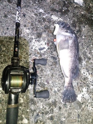 キラキラ公園（苫小牧西港）