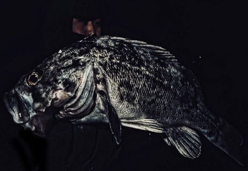 船越湾（岩手）