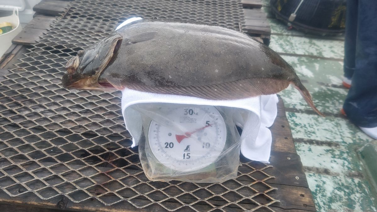アツ内藤さんの釣果 2枚目の画像