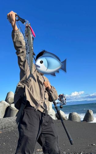 大浜海岸（静岡）