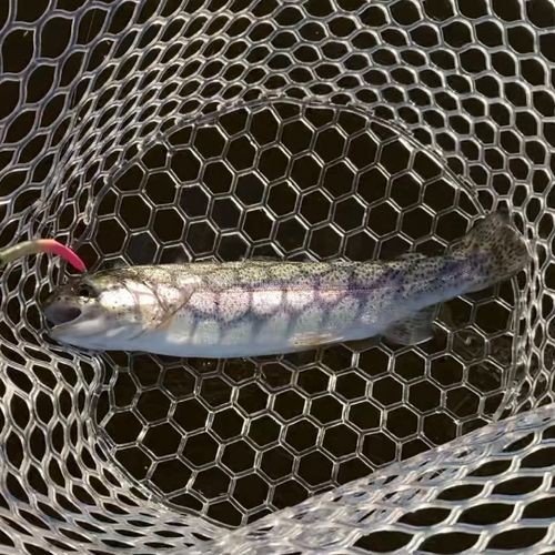 しらこばと水上公園