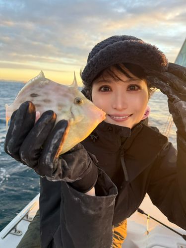 カワハギの釣果