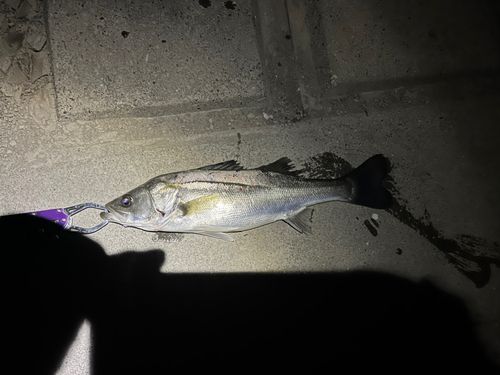 荒川河川敷運動公園