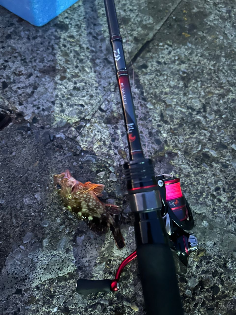 DAIWA 18月下美人 MX アジング 64.5LS-Sの最安値・インプレ・釣果