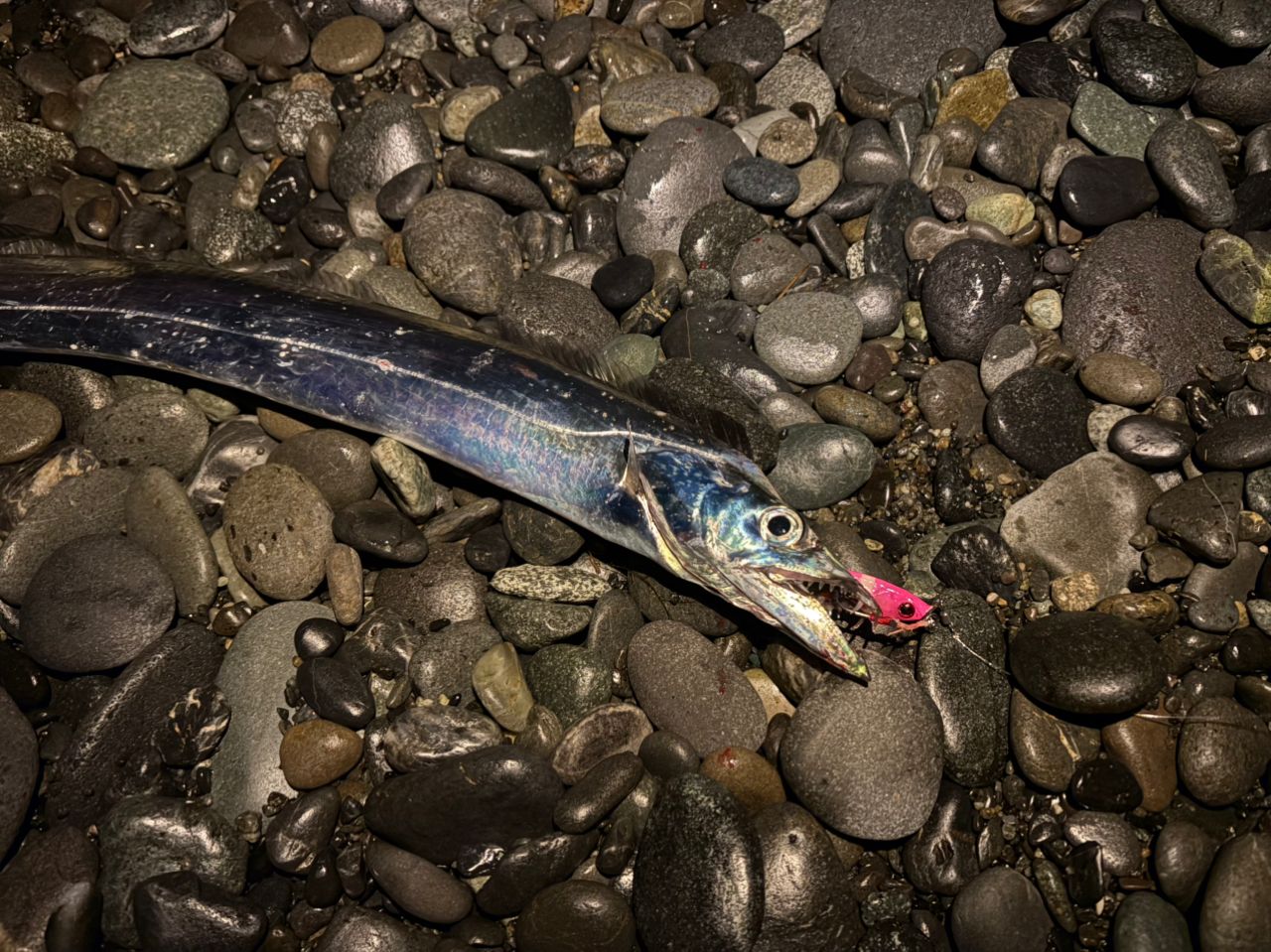 MajorCraft クロスライド 5G XR5-1002Mの最安値・インプレ・釣果