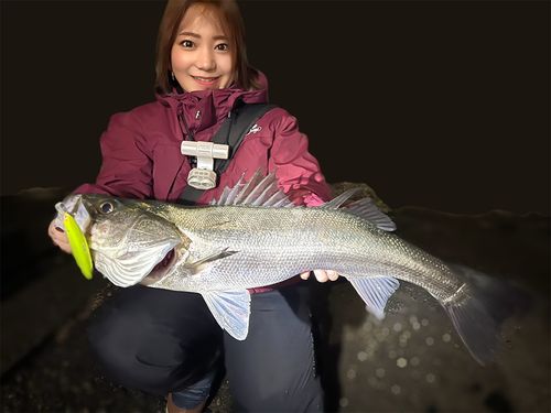 東京湾（アクアライン〜富津）