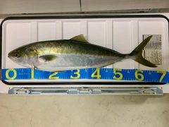 SHIMANO 18オシアジガー ∞ (インフィニティ) モーティブ B610-5の最 