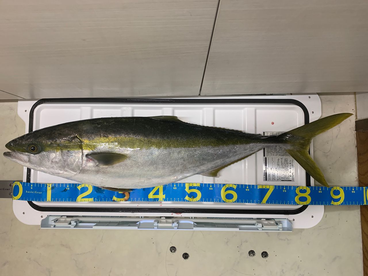 SHIMANO 18オシアジガー ∞ (インフィニティ) モーティブ B610-5の最