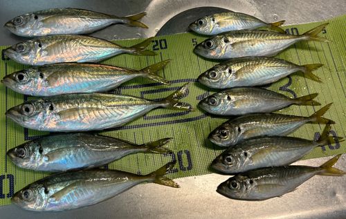 小名浜港アクアマリンふくしま周辺