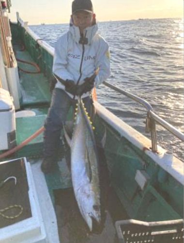 キハダマグロの釣果