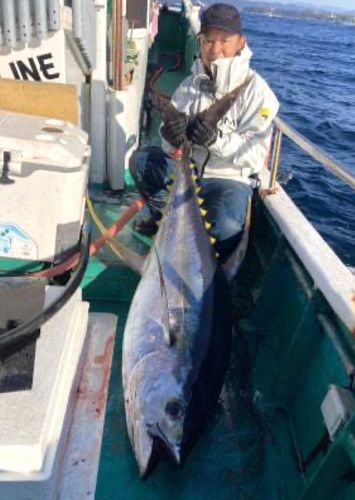 キハダマグロの釣果