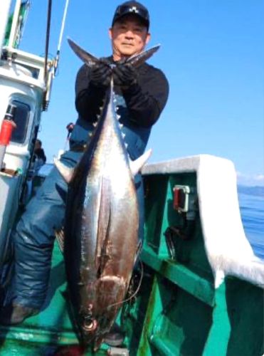 ビンチョウマグロの釣果