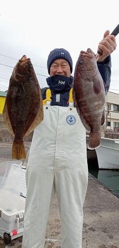 マハタの釣果