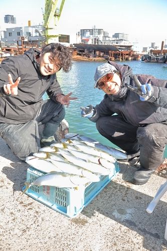 ハマチの釣果