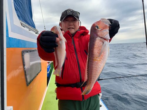 アマダイの釣果