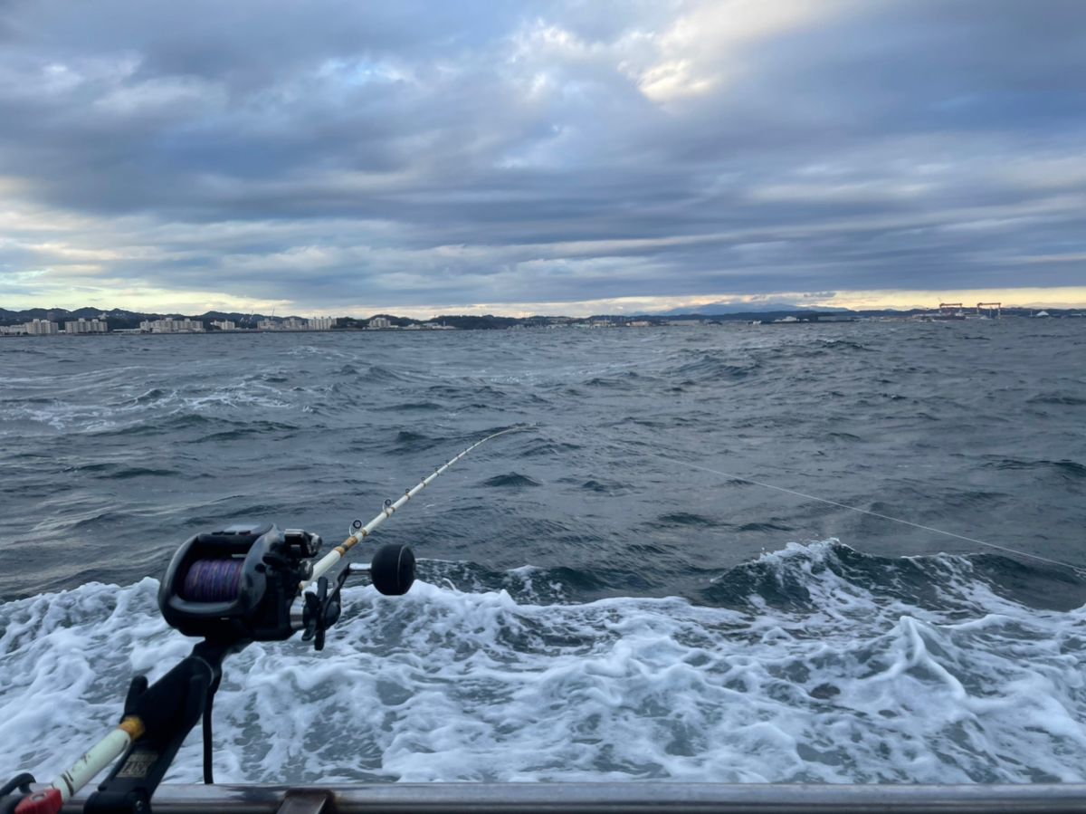 金沢八景のつり吉さんの釣果 3枚目の画像