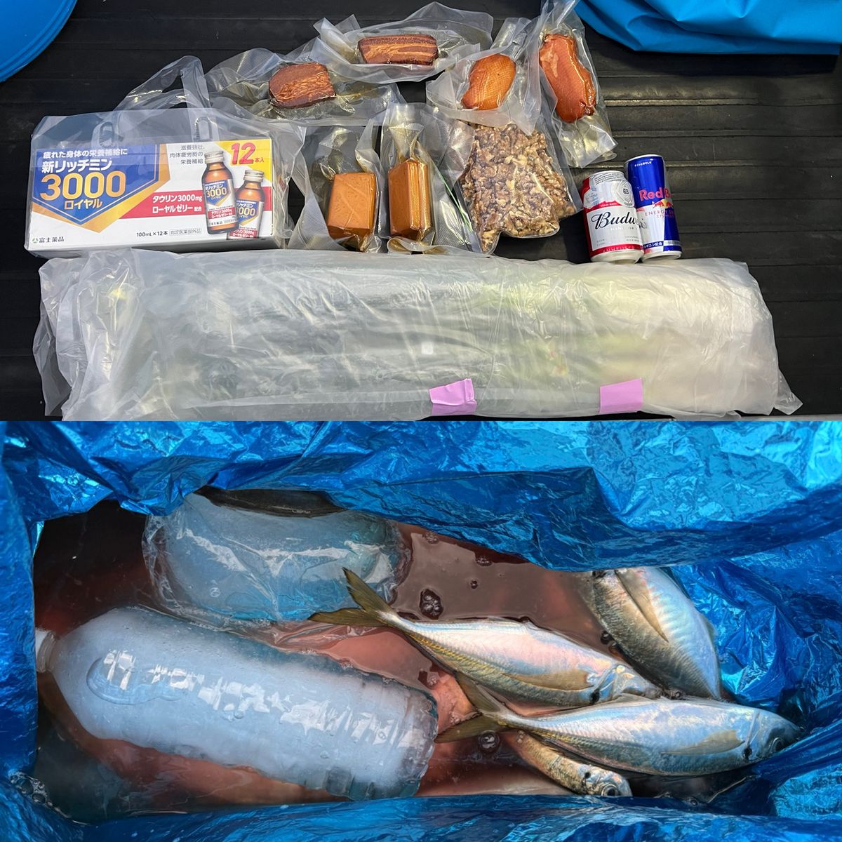 政信丸さんの釣果 3枚目の画像