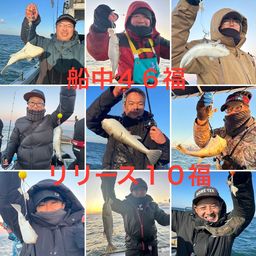 ショウサイフグ