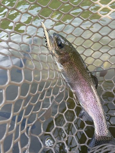 足柄キャスティングエリア