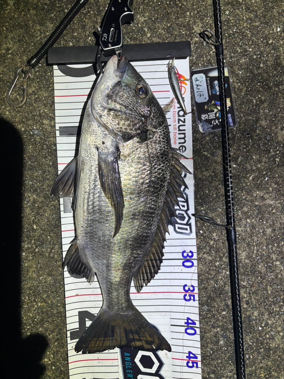 SHIMANO 20ゾディアス 270M-2の最安値・インプレ・釣果 | 本音の口コミ