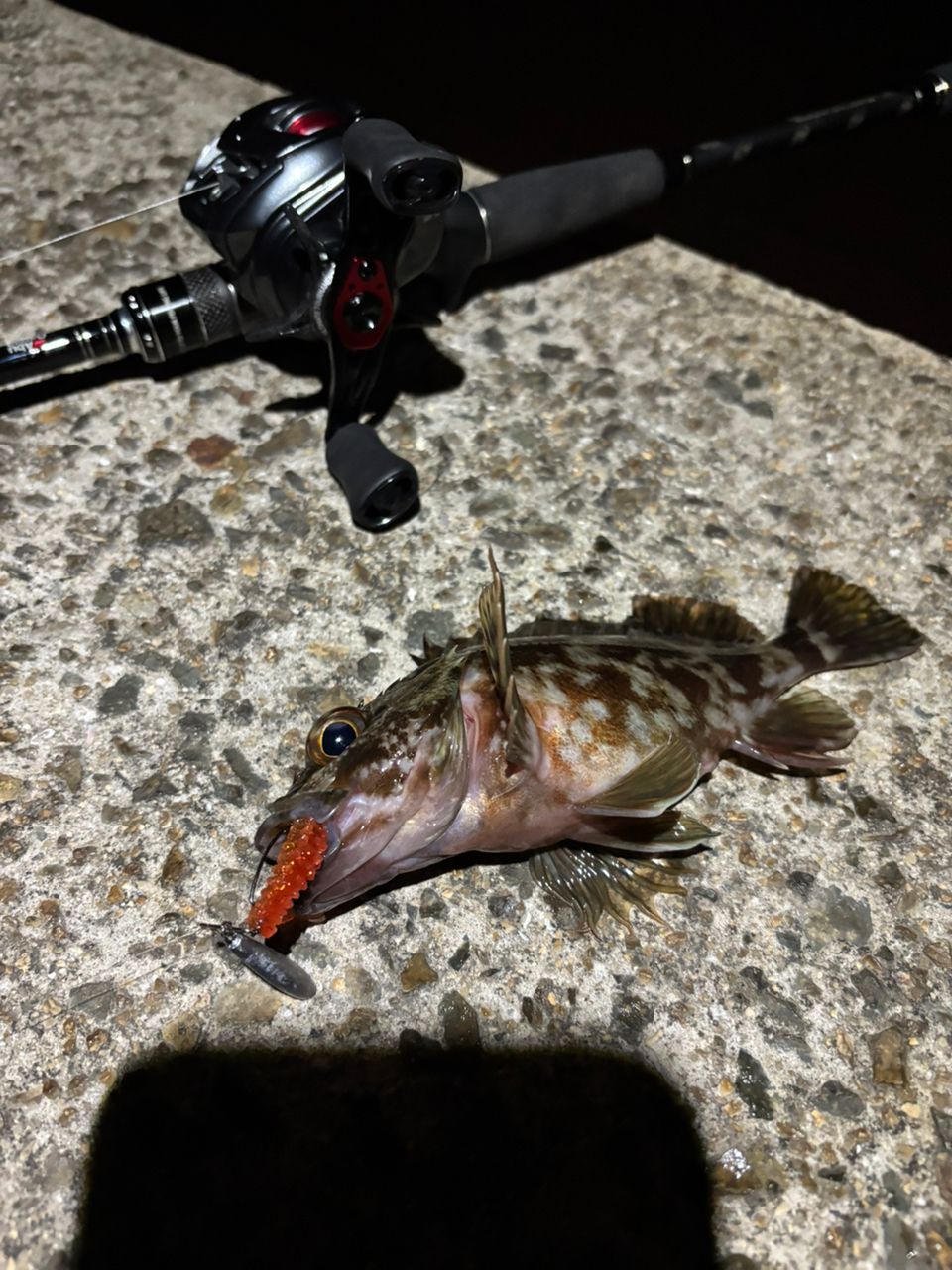 AbuGarcia ソルティースタイル ベイトフィネスカスタム STBC-702ULS-KR
