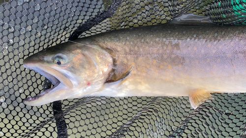 東山湖フィッシングエリア