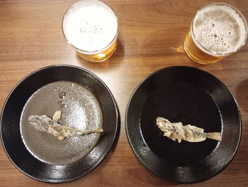 アナハゼの釣果