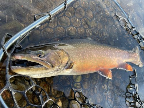 那須白河フォレストスプリングス