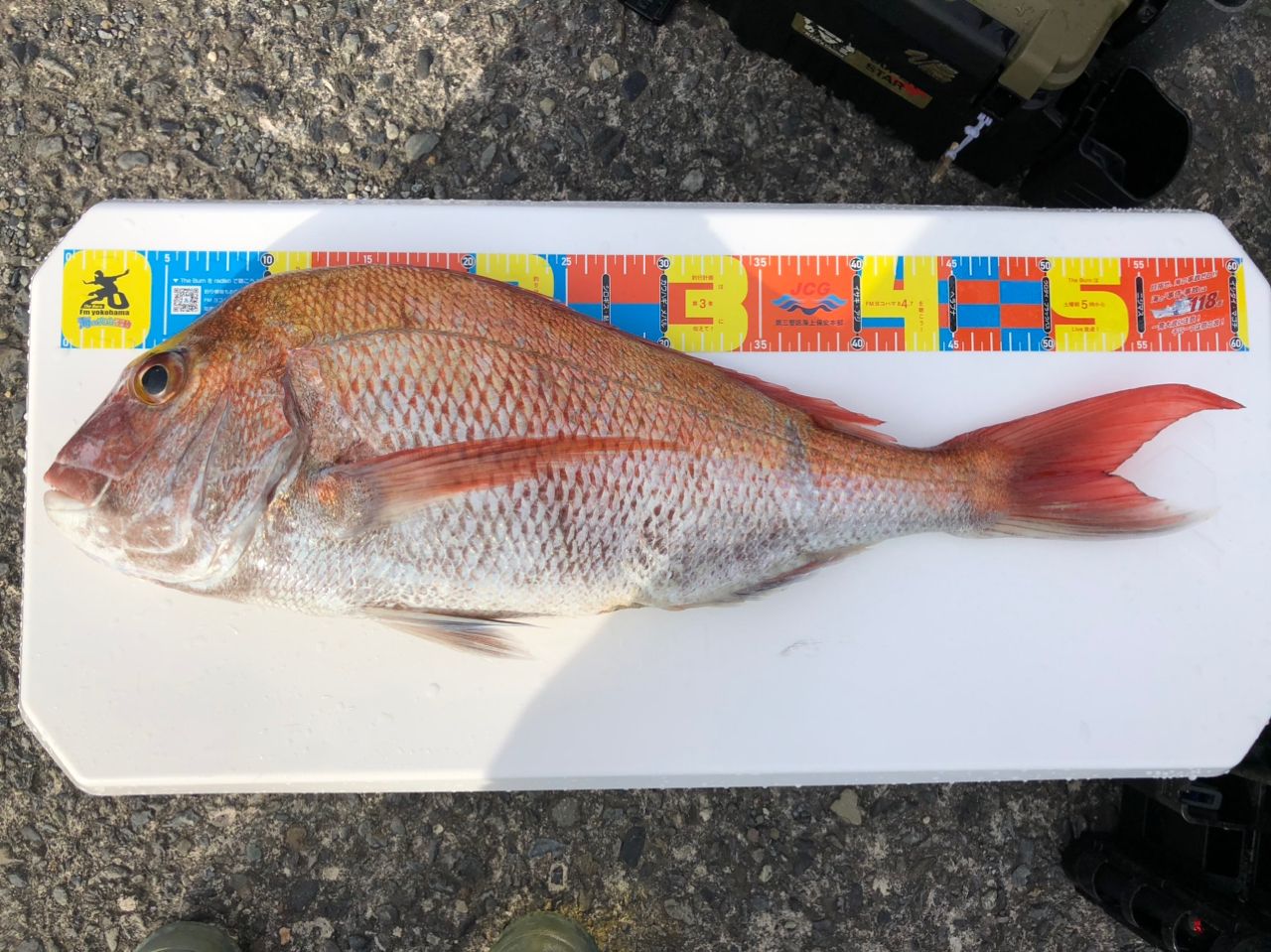 SHIMANO 23エンゲツ プレミアム 150PGの最安値・インプレ・釣果 | 本音