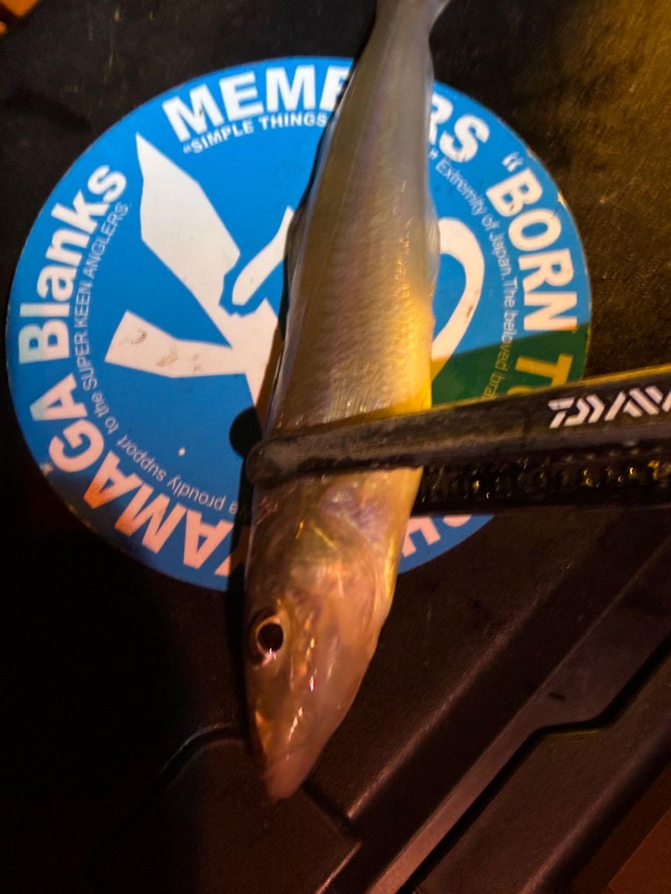 TENRYU ルナキア LK582S-LSの最安値・インプレ・釣果 | 本音の口コミが