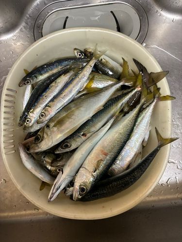 周防大島（屋代島）